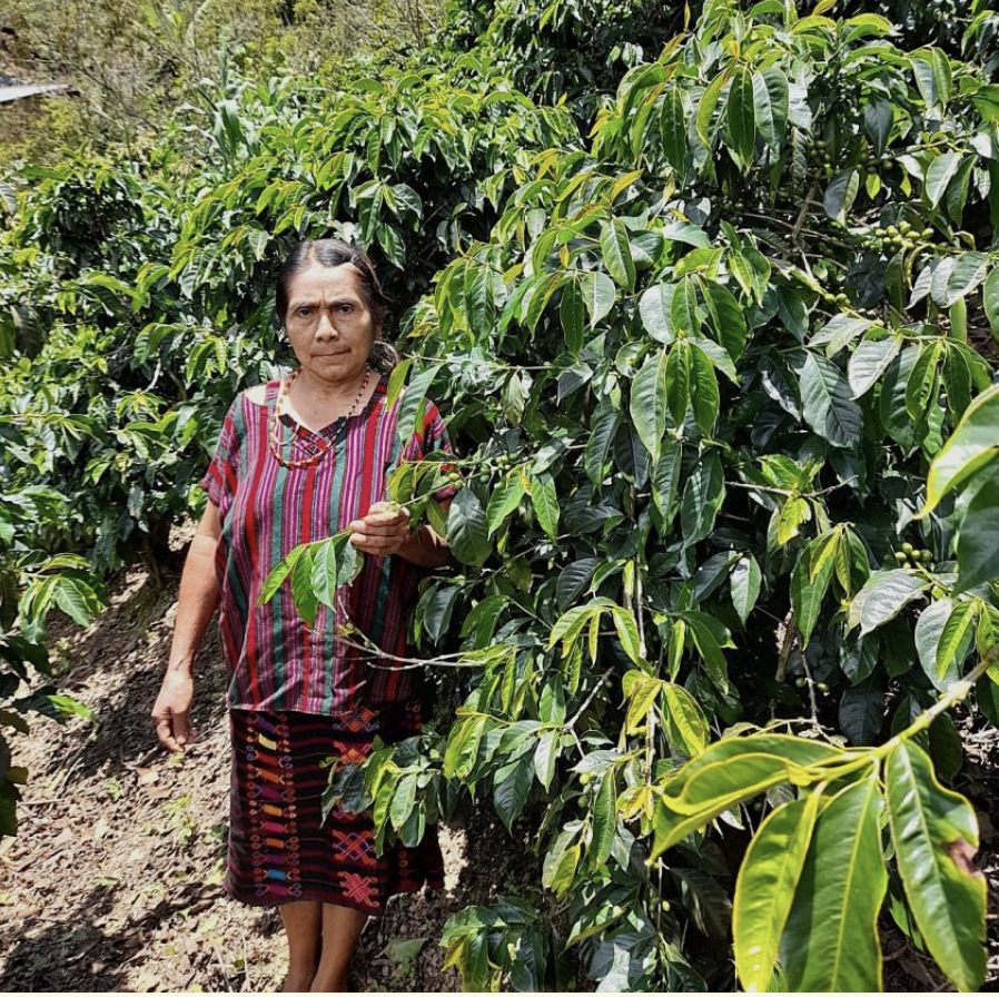 GUATEMALA HUEHUETENANGO MAM SHB EP