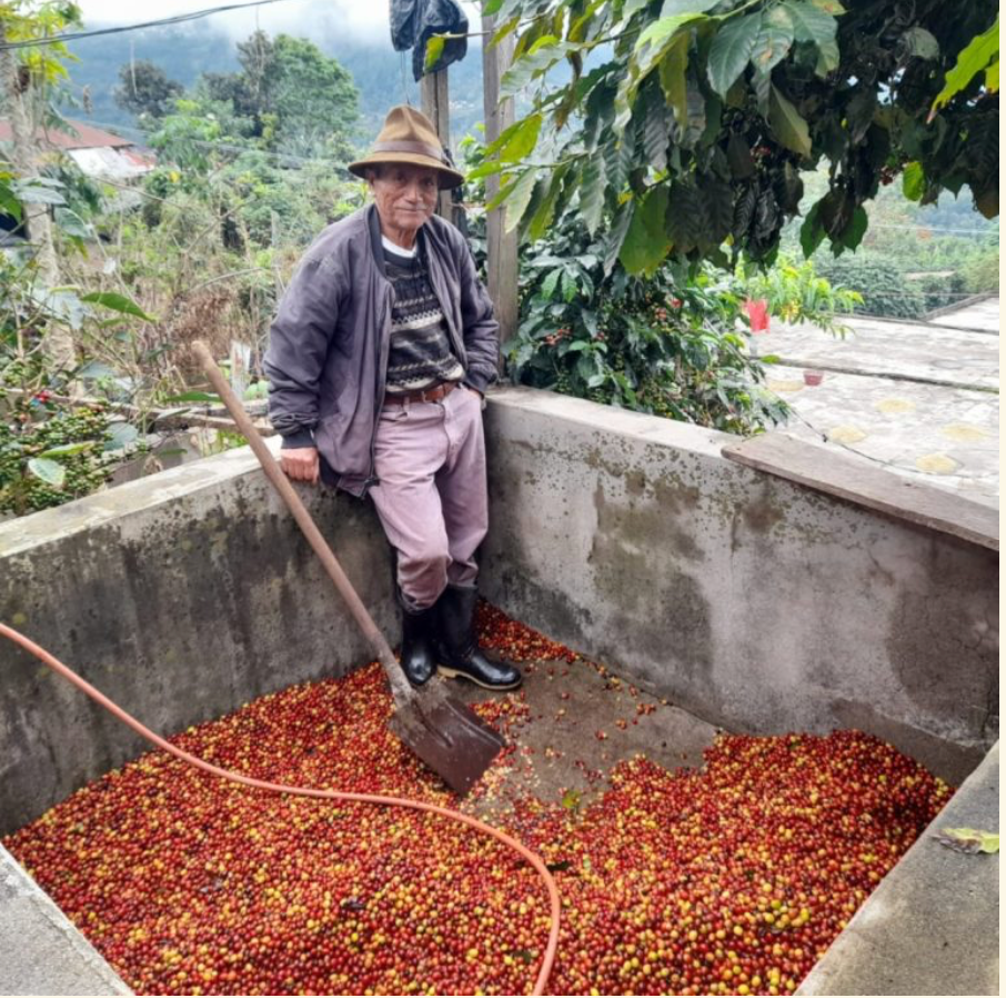 GUATEMALA HUEHUETENANGO MAM SHB EP