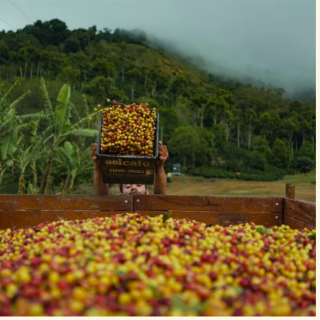 COSTA RICA SANTA MARIA DE DOTA AA EP
