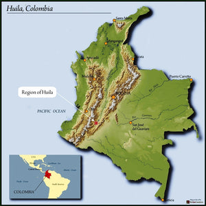 COLOMBIA HUILA ACEVEDO A