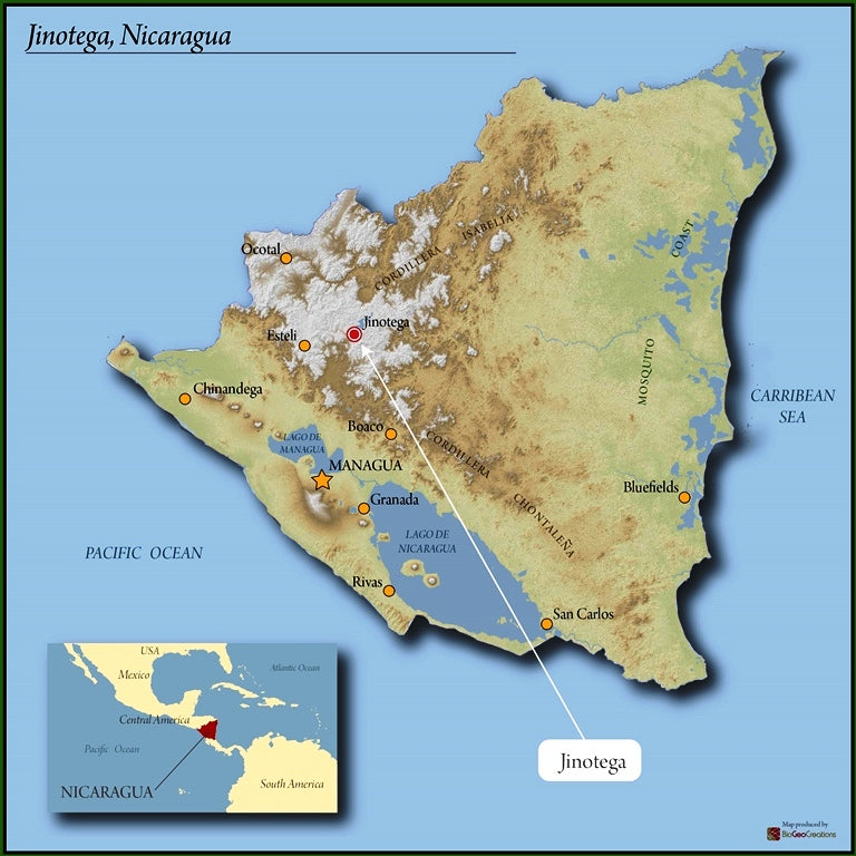 NICARAGUA ORGANIC FINCA EL PASTORAL HONEY