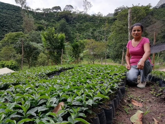 COLUMBIA HUILA ASPROTIMANA WOMEN'S COFFEE